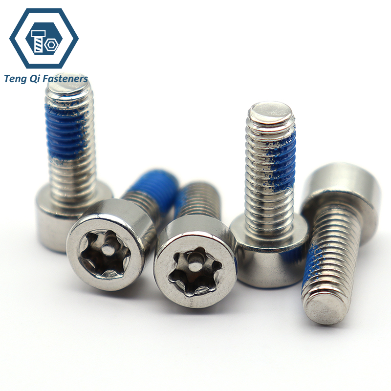 SS304 SS316 Cylindrical Head Torx Screw With Pin SS304 SS316 Cylindrical Head Torx Screw With Pin