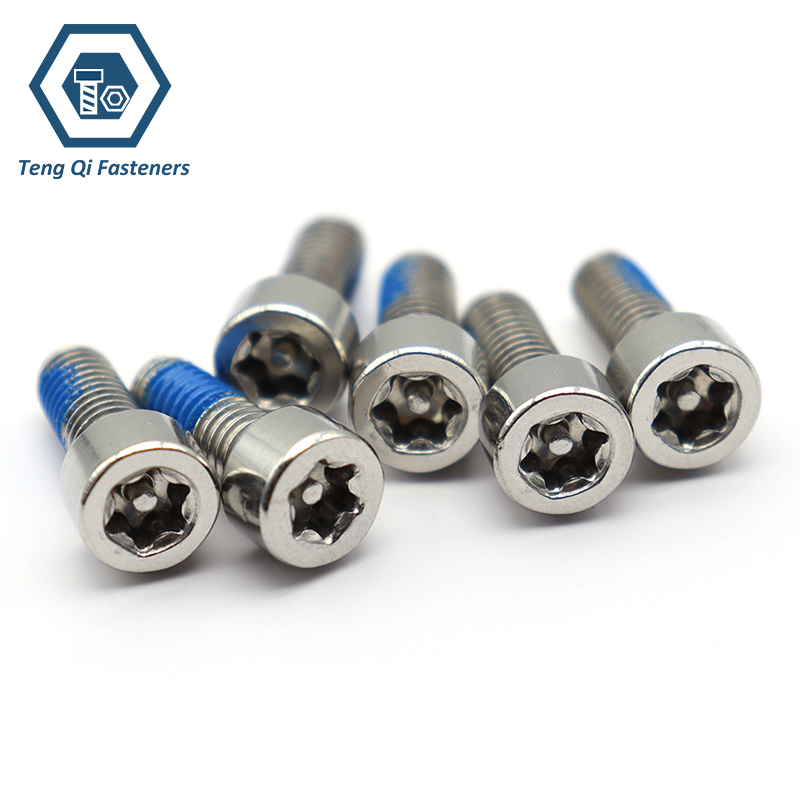 Stainless Steel Cylindrical Head Torx Screw With Pin Stainless Steel Cylindrical Head Torx Screw With Pin