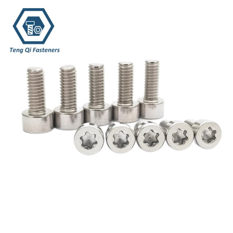 ISO14579 SS316 Torx Socket Head Cap Screws